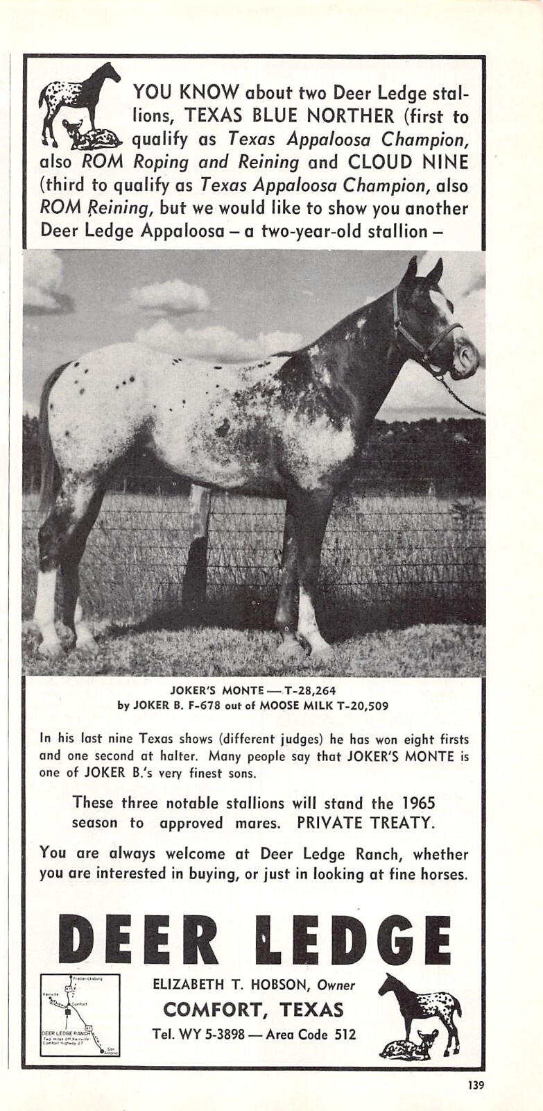 Deer Ledge Elizabeth T Hobson Owner Joker\'s Monte Stud Service Vtg Mag Print Ad