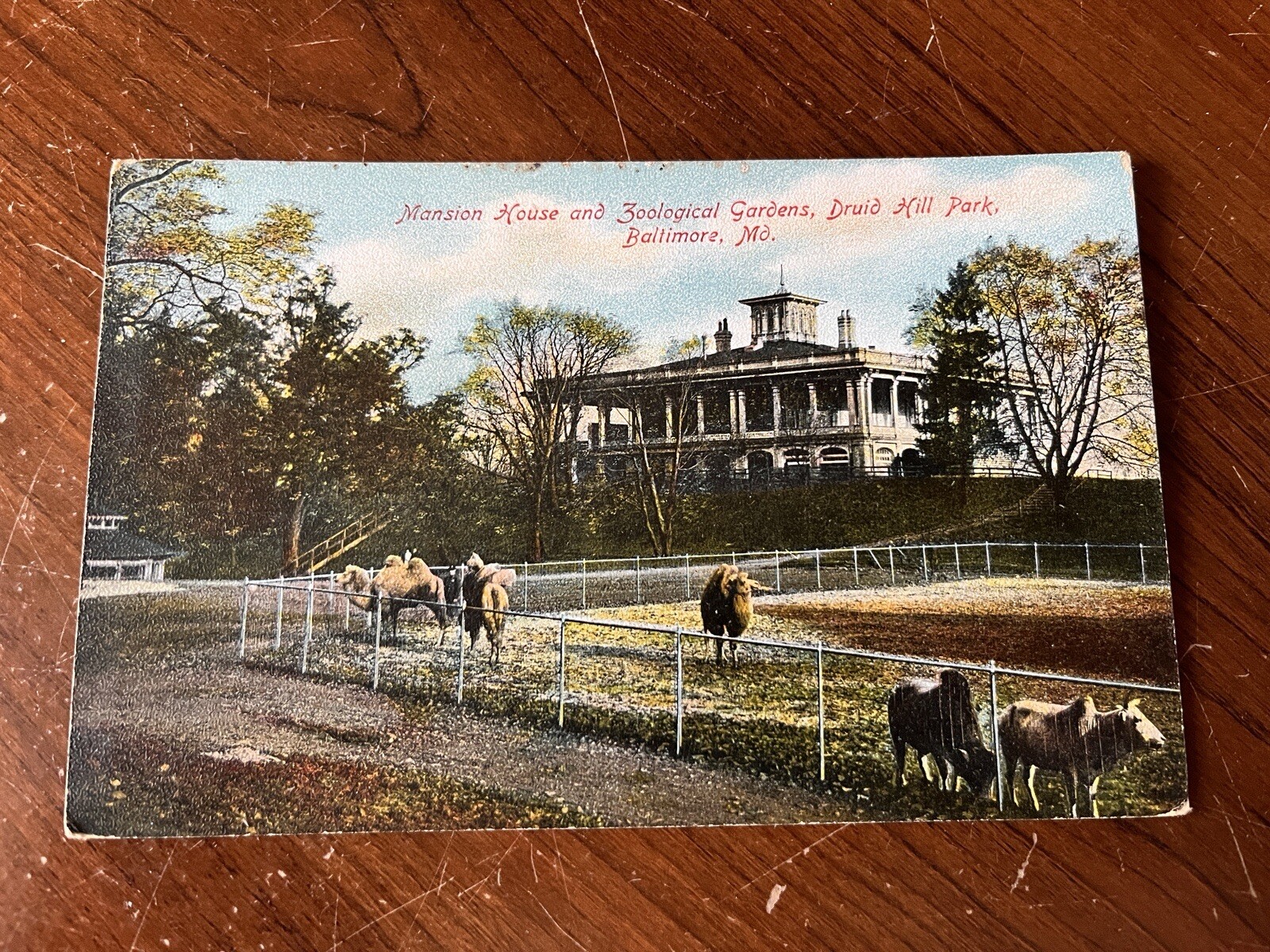 LITHO * Baltimore MD Mansion House And Zoological Gardens Early 1900s