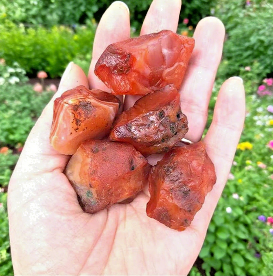 5PCS Raw Carnelian Crystal Stone  Natural Orange-Red Gemstone – Spiritual Stone