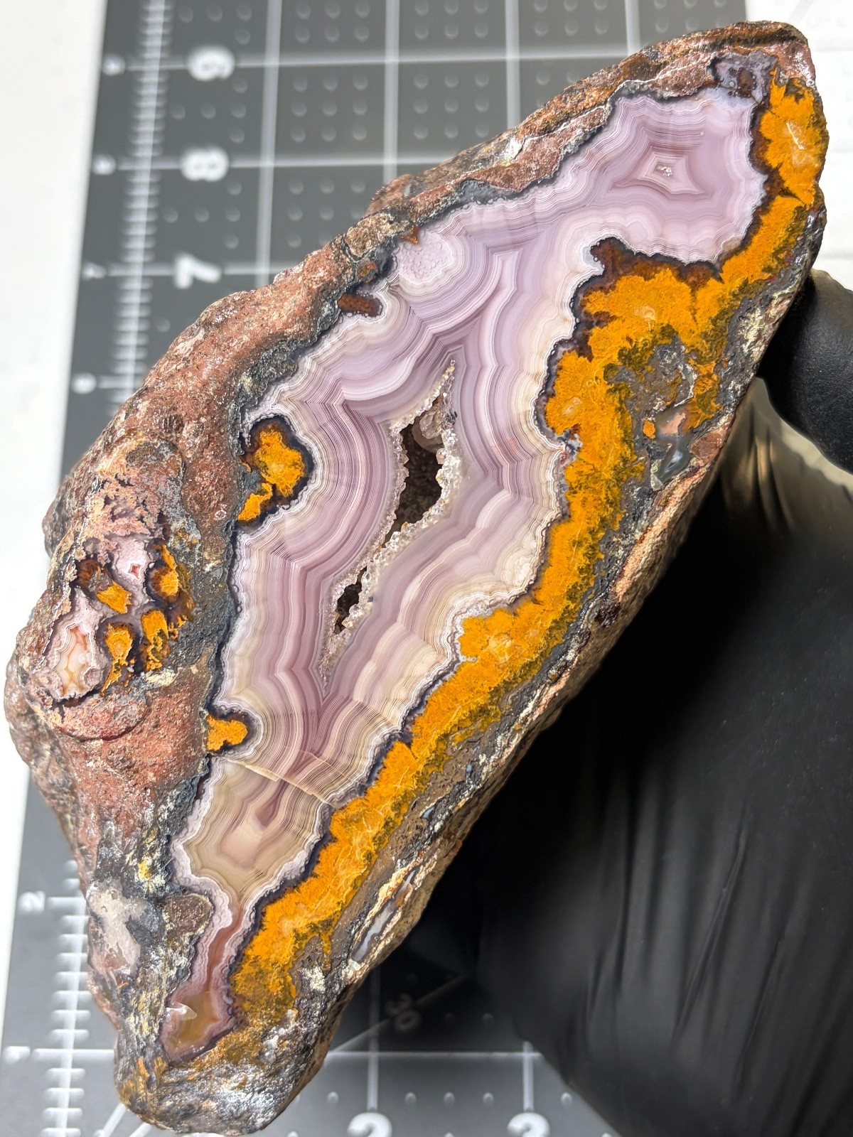 Stunning 2.6 lb Polished LAGUNA AGATE Beautiful Banding Druzy Fortification 