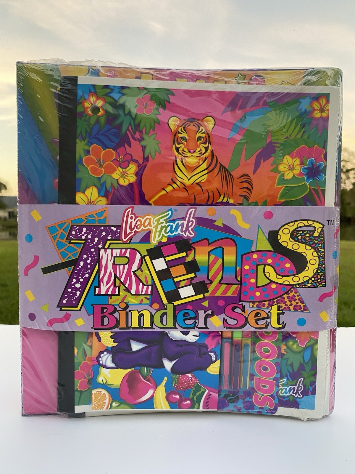 🌈 Vintage 1992 Lisa Frank Trends Binder Set Hollywood Bear SEALED NOS Rare