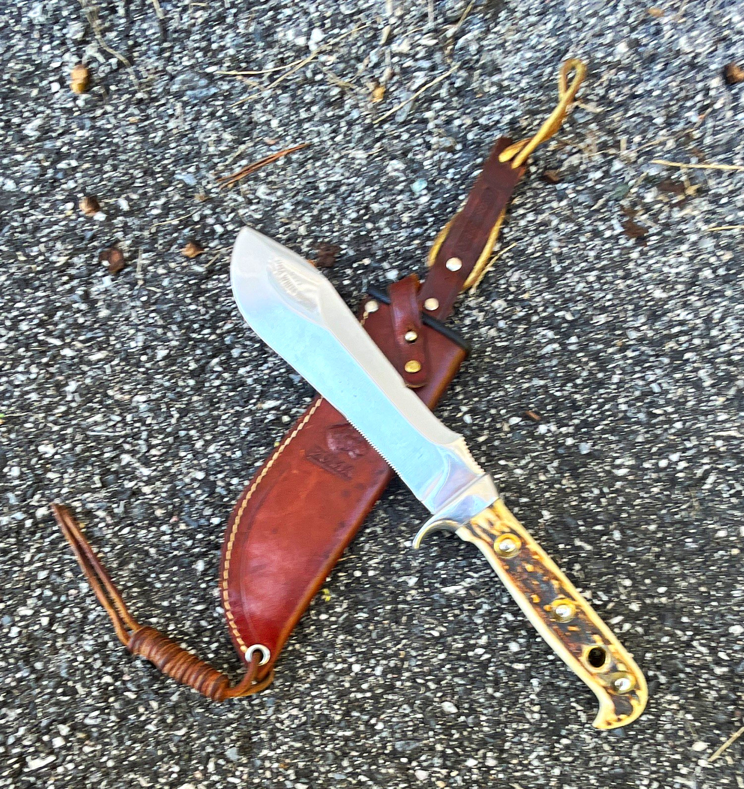 Vintage puma white hunter pre-64 stag handle knife ￼