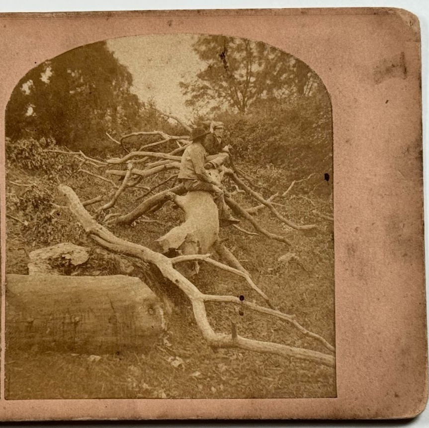 View in Glendalough, County Wicklow, Ireland – Soldier on Fallen Tree Stereoview