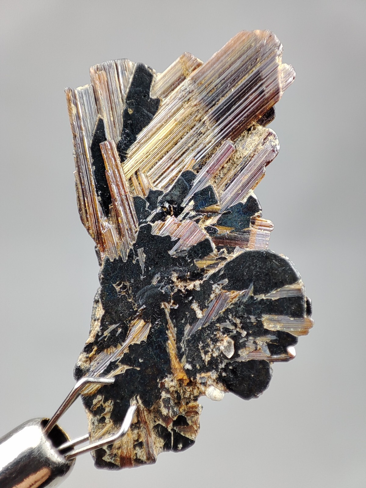 Rare Red Rutile Crystals on Hematite (Sagenite Var. Rutile) - Zagi mountains Pak