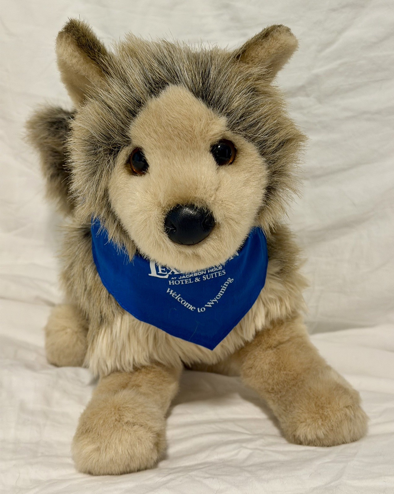 TYSON Wolf Plush Douglas #1836 Collectible Lexington Hotel Jackson Hole *RARE*