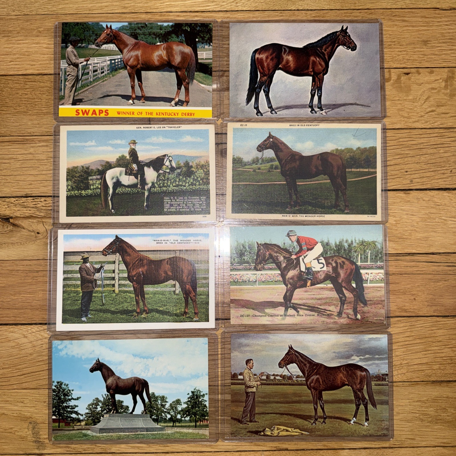 8 Vintage Horse Racing Postcards Man O War Swaps Nashua Citation Curt Teich