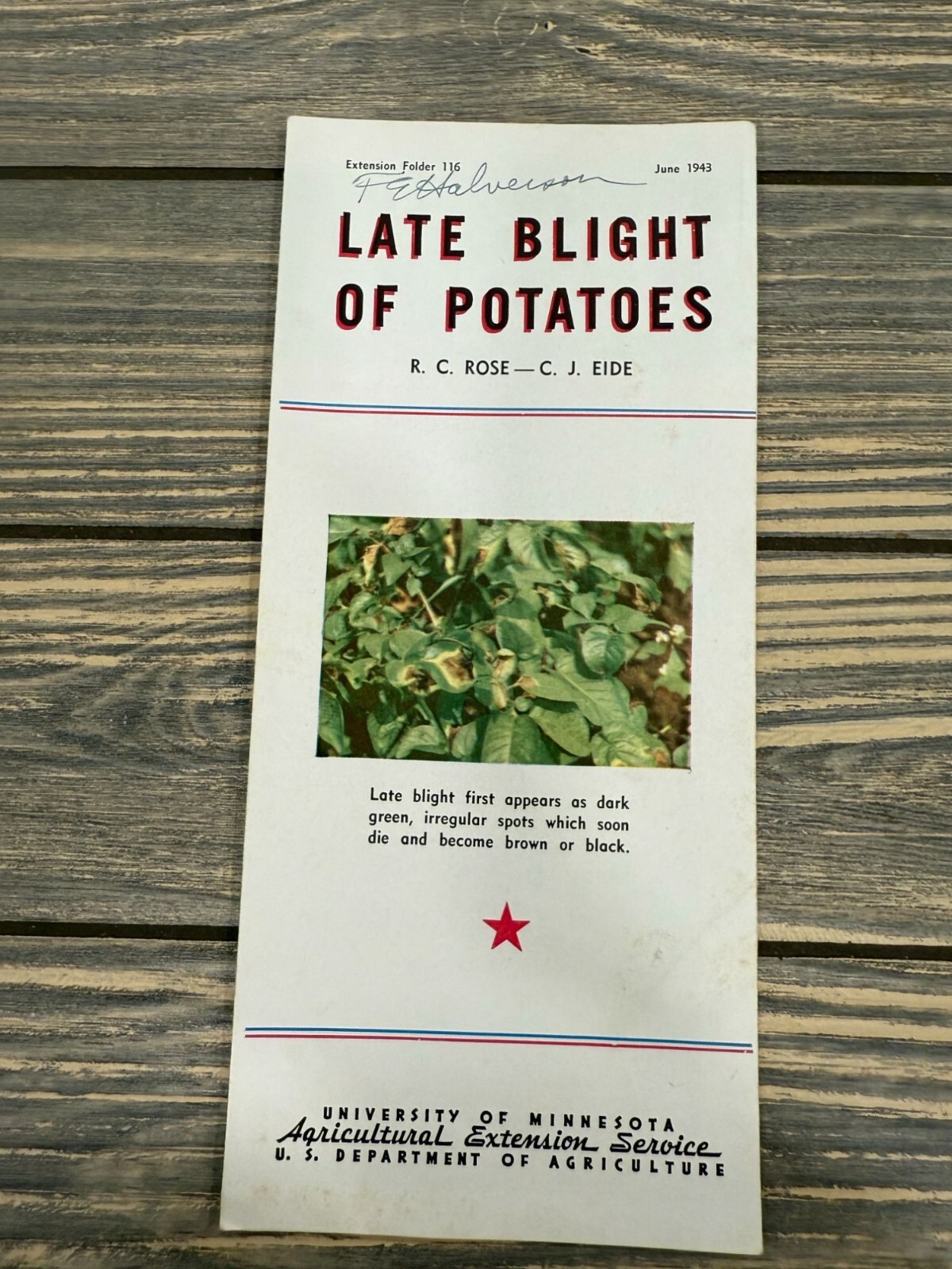 Vintage Late Blight Of Potatoes Brochure - University Of Minnesota June 1943