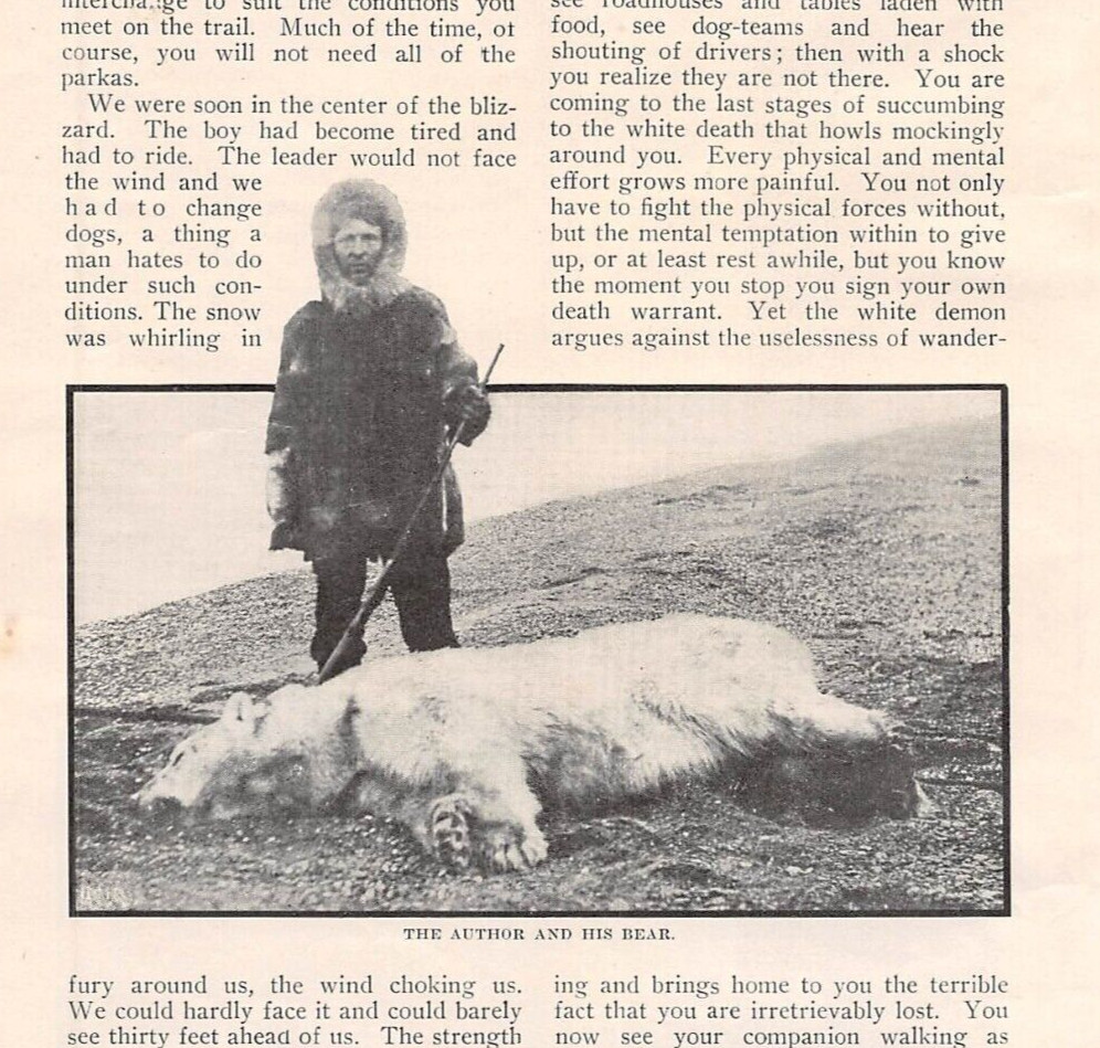 1911 article Hunting Seal Polar Bear on Ice Floes of Bering Strait Kleinschmidt