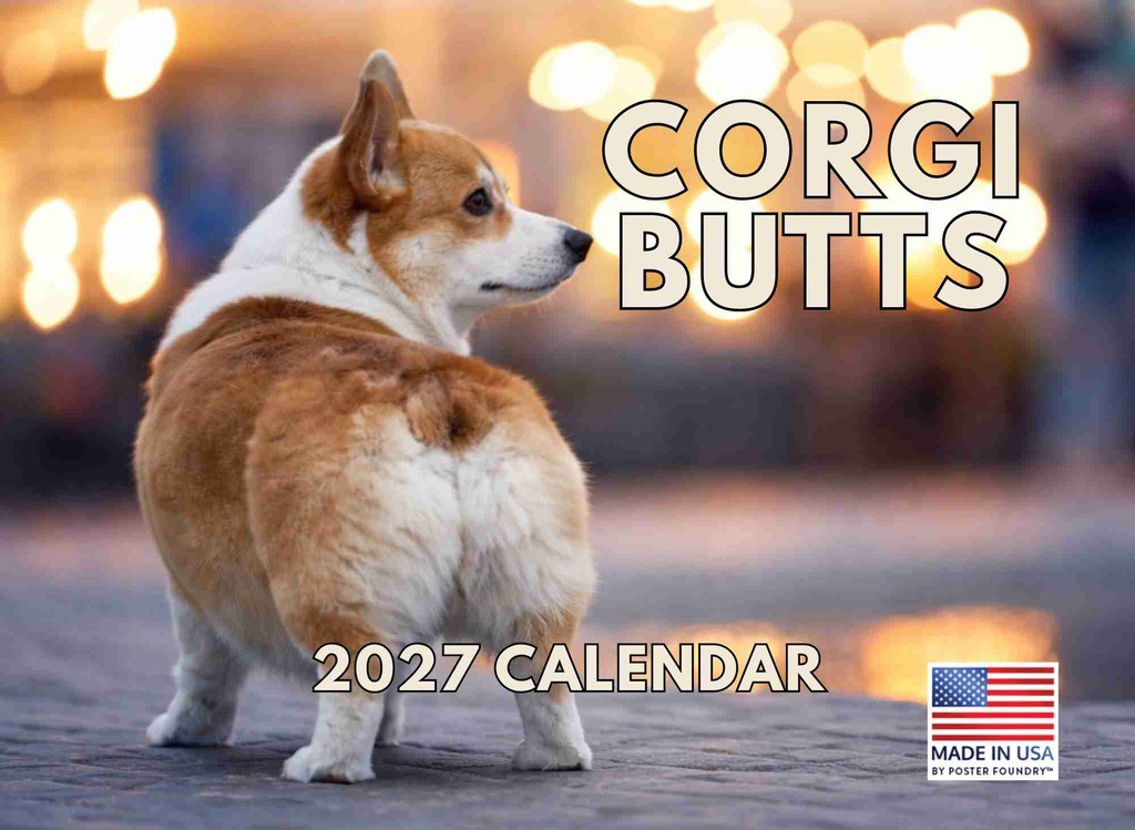 Corgi Butt Calendar 2027 Corgi Gifts Monthly Wall Calender 12 Month