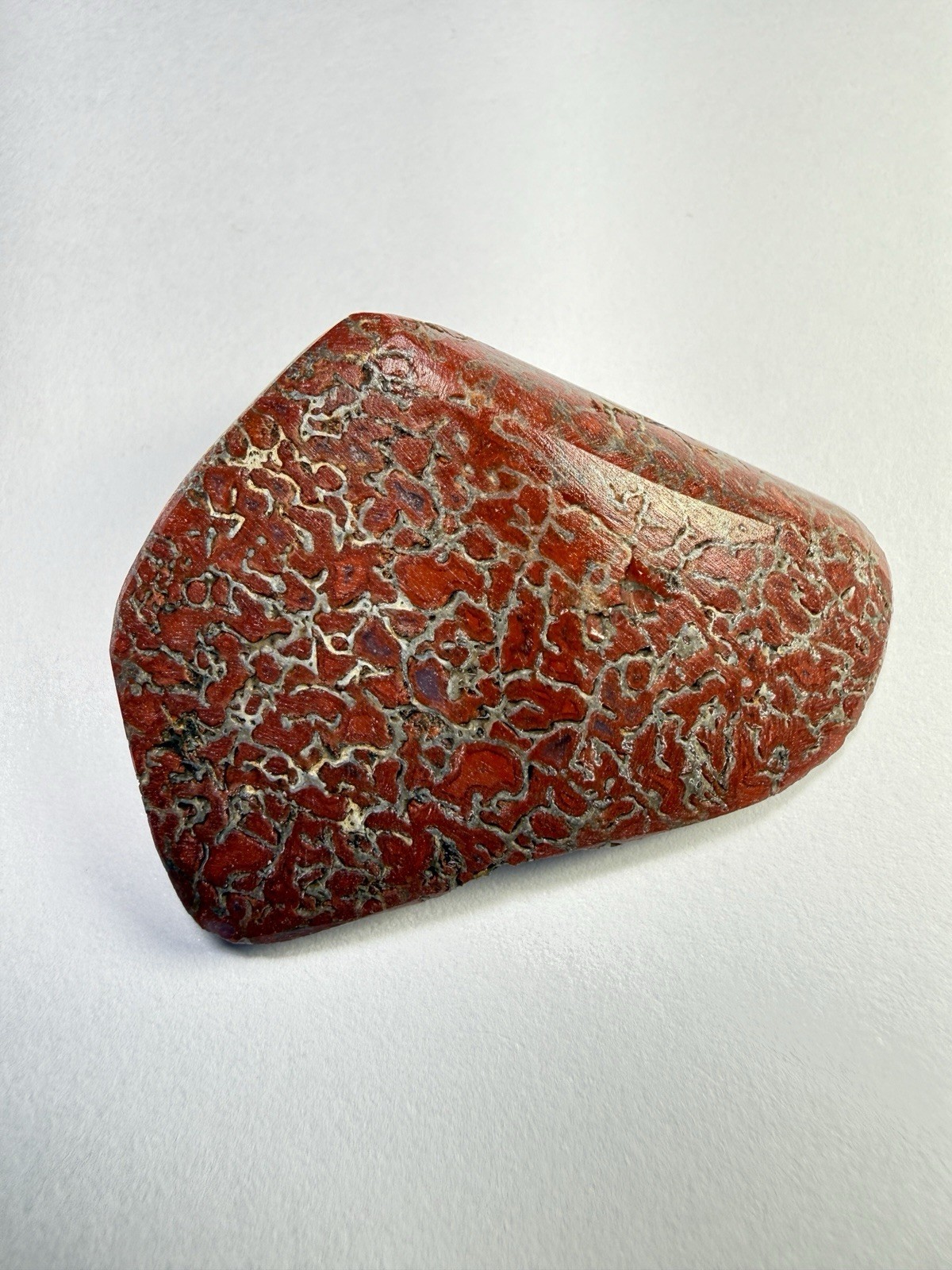 Agatized Dinosaur Bone 96ct. Fossil Polished Specimen