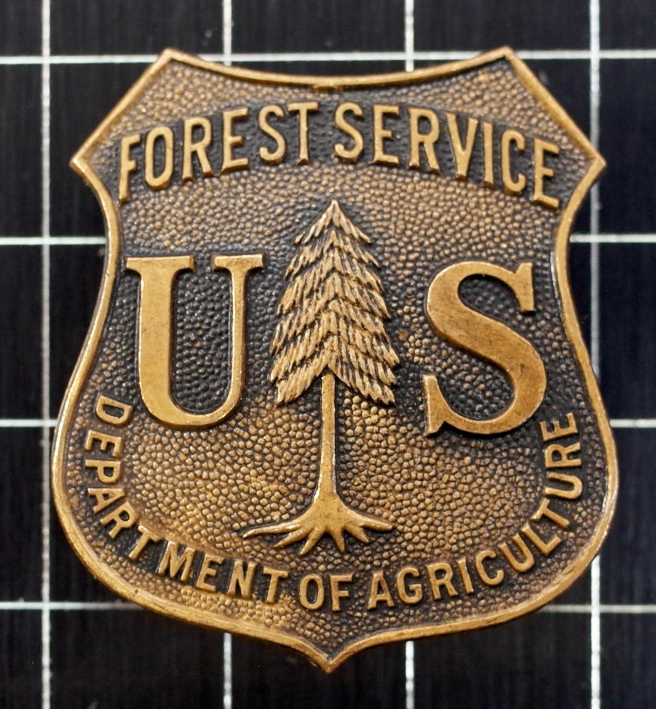 vintage US FOREST SERVICE Department of Agriculture Pin BADGE • obsolete USFS