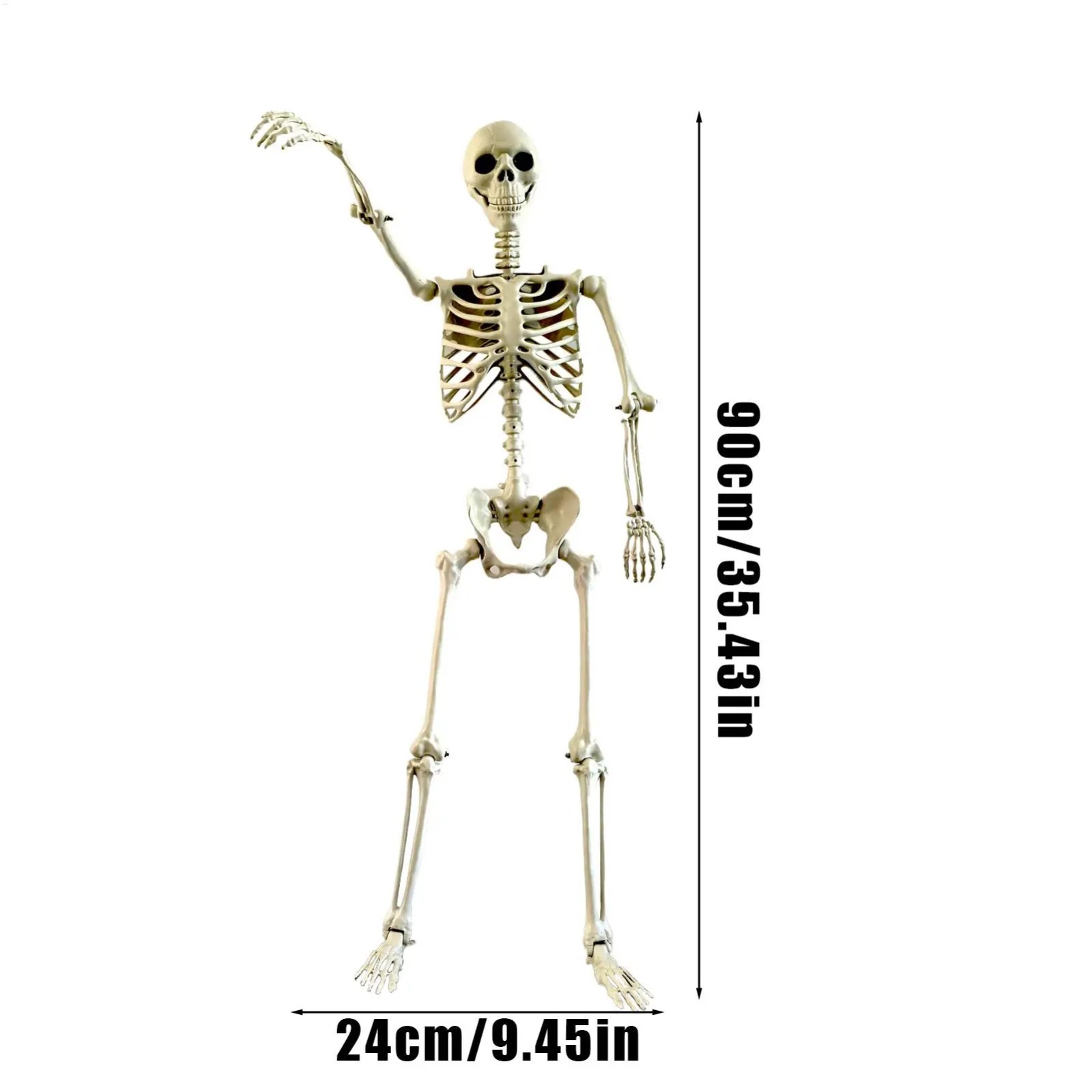 Halloween Life Size Human Skeleton 90cm Posable Joints Haunted House Prop