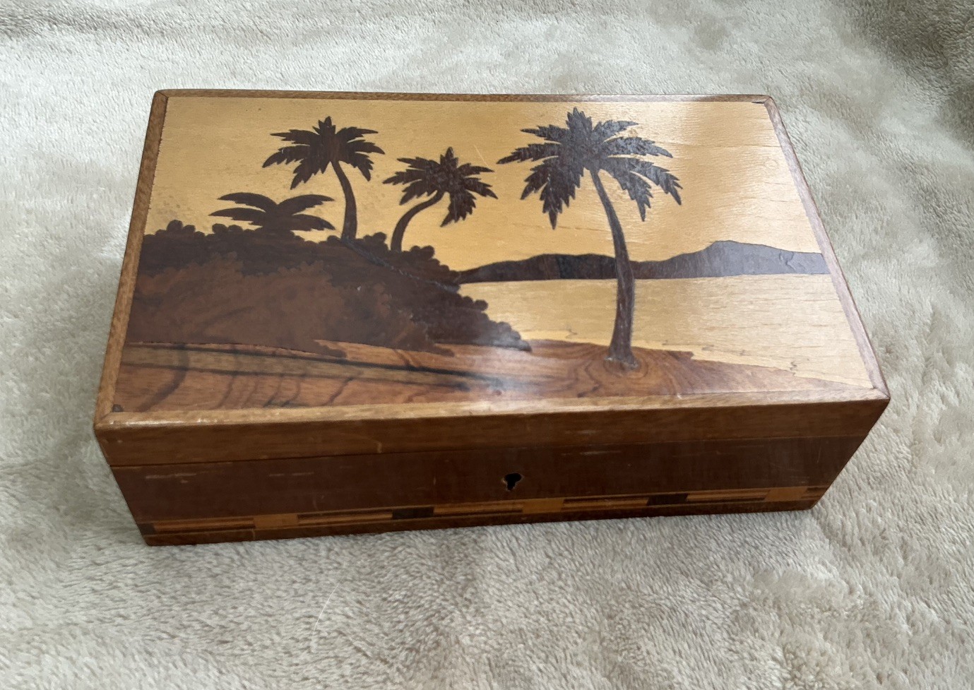 Vintage Casa Krental & Cia Pelotas Marquetry Wood Inlay Box - Brazil Palm Tree