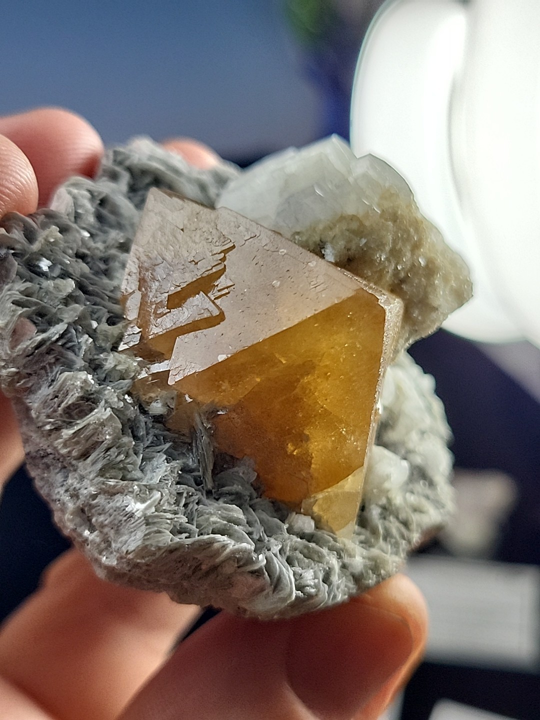 EXCELLENT Scheelite On Muscovite (Small Cab) Mt. Xeubaoding, China