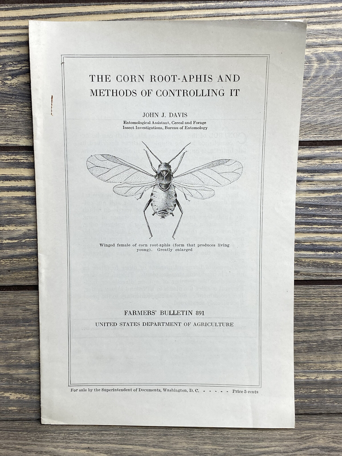 Vintage Farmers Bulletin US Dept of Agriculture No 891 Corn Root-Aphis 1917