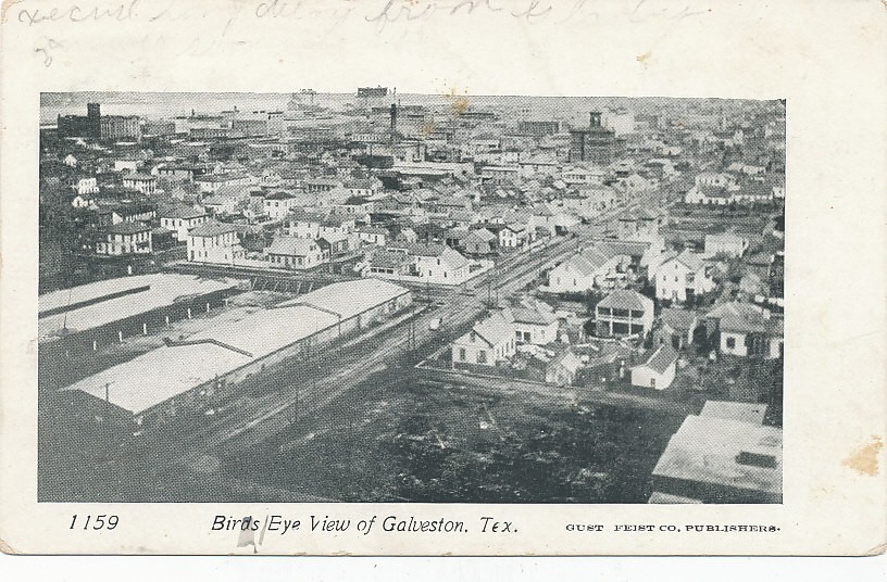 Galveston TX * Birds Eye View   ca. 1905  Gust Feist Co. Pub.