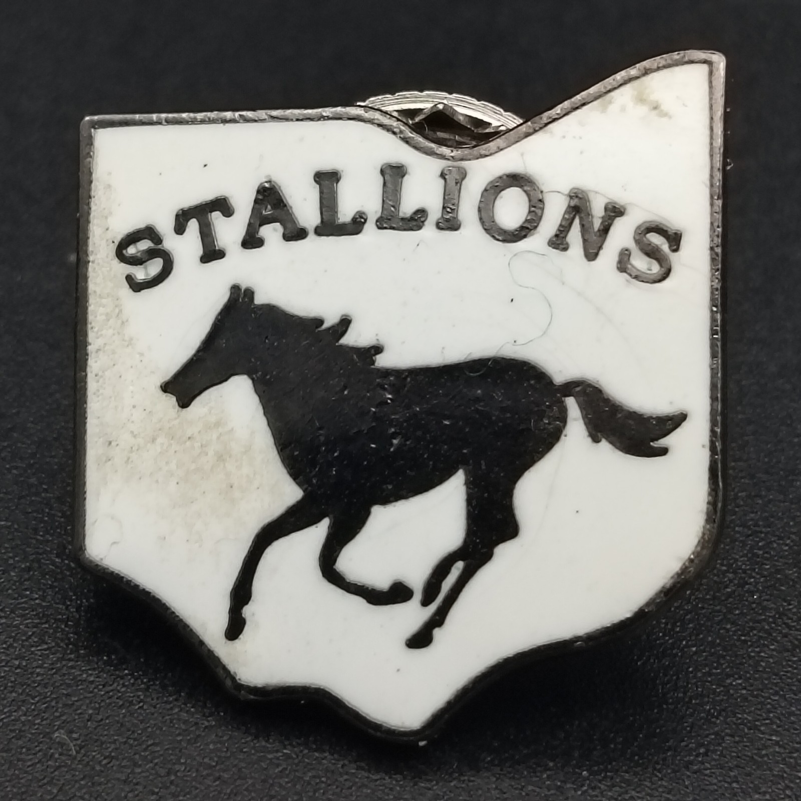 Vintage Ohio STALLIONS Horse Running Lapel Pin Badge Emblems