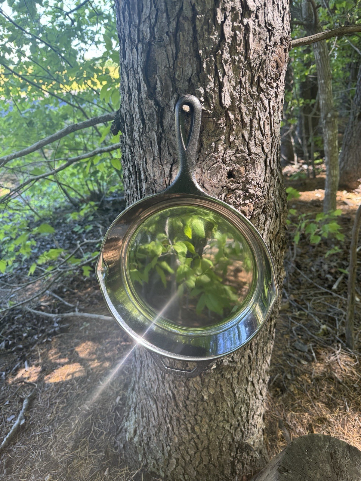 10” Polished Lodge Cast Iron Skillet Camp Edition Made In USA