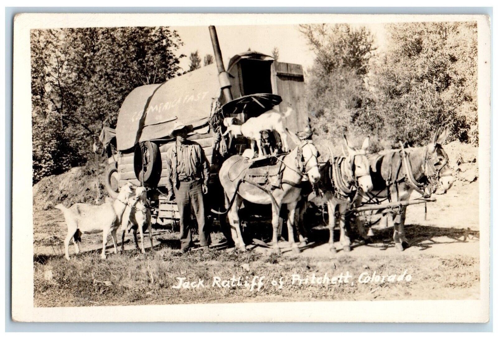 c1940\'s Jack Ratliff Of Pritchett Colorado CO, Donkeys Goat RPPC Photo Postcard