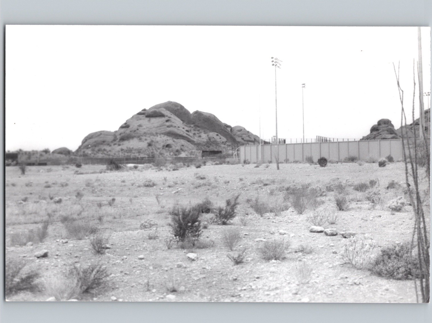 c1995 Phoenix Municipal Stadium Oakland A’s Baseball Field RPPC Real Photo