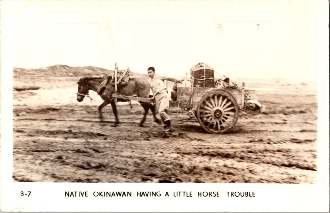Vintage RPPC Okinawa Horse Trouble Photo Postcard Grogan Photo Danville IL