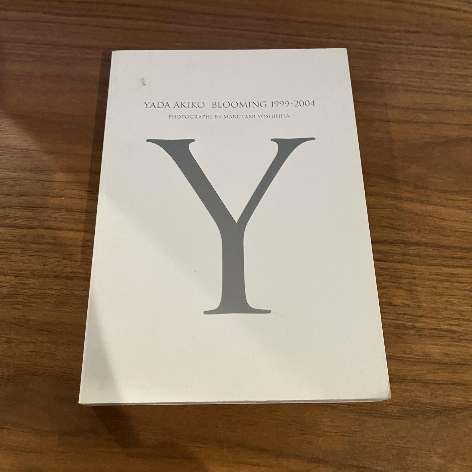 Akiko Yada Japanese Photobook \