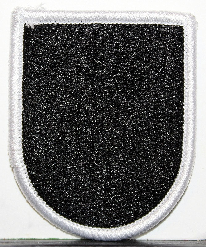 US Army 5th Special Forces Group Beret Flash Patch Insignia Green Berets