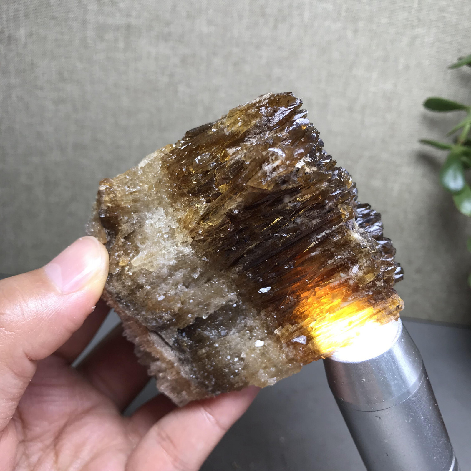 346g Amber Calcite Raw, Natural Specimen Honey Calcite Gold Calcite Mineral 3137