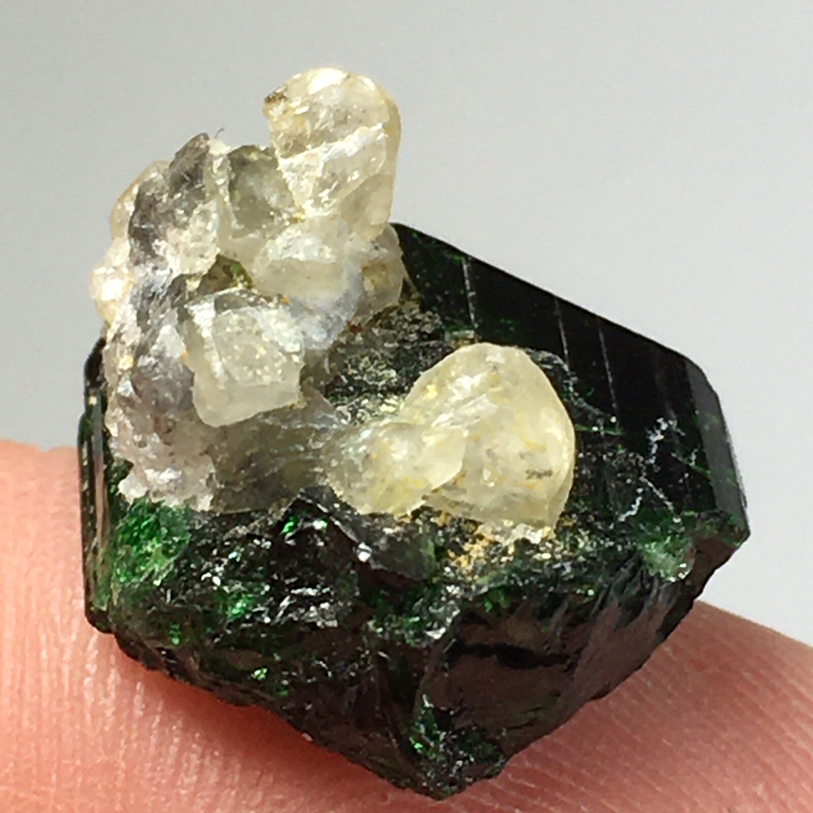 Chrome Green Tourmaline Crystal Merelani Hills Arusha Tanzania Rare Specimen