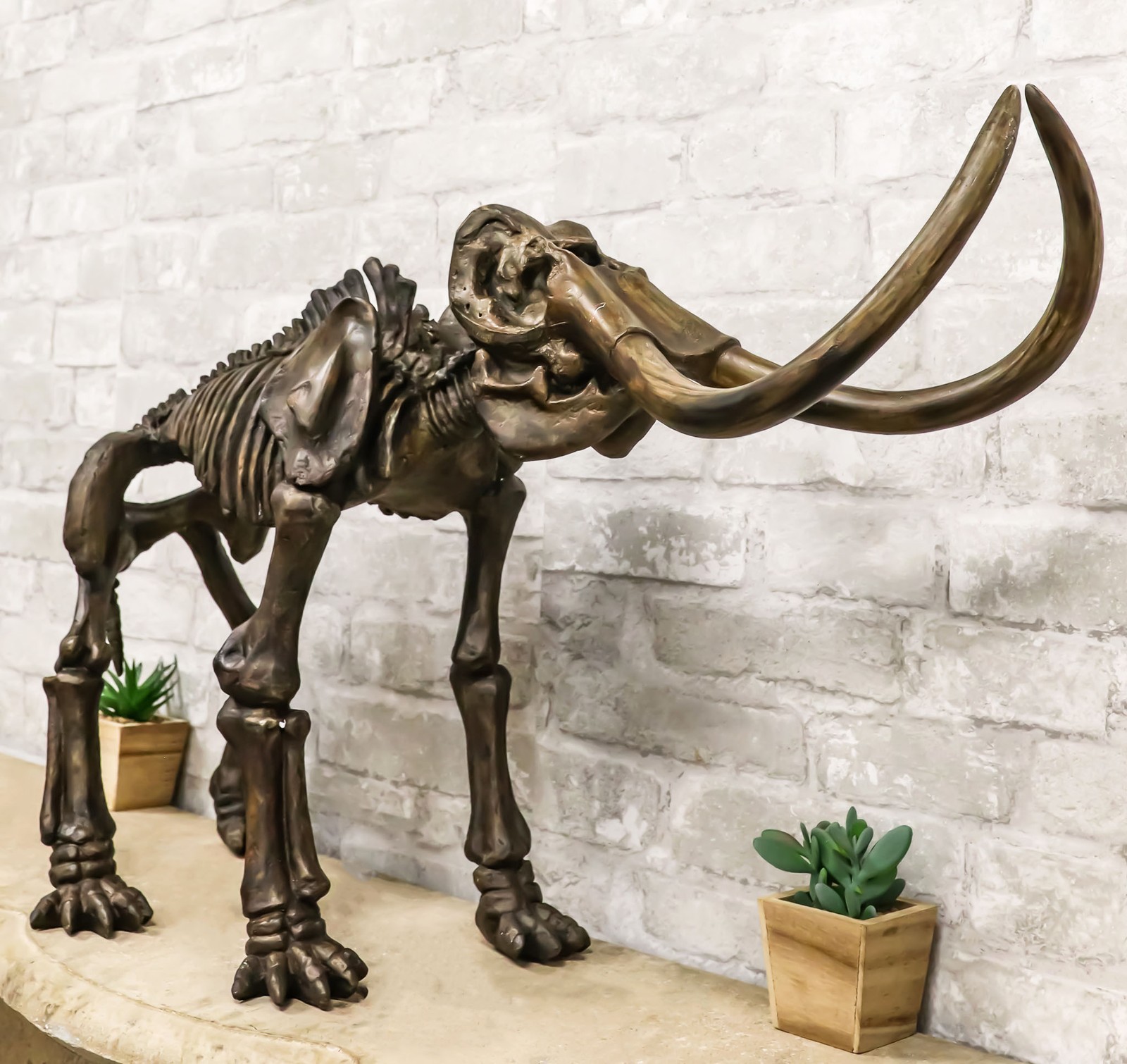 Ebros Prehistoric Elephant Jurassic Era Woolly Mammoth Fossil Skeleton 30