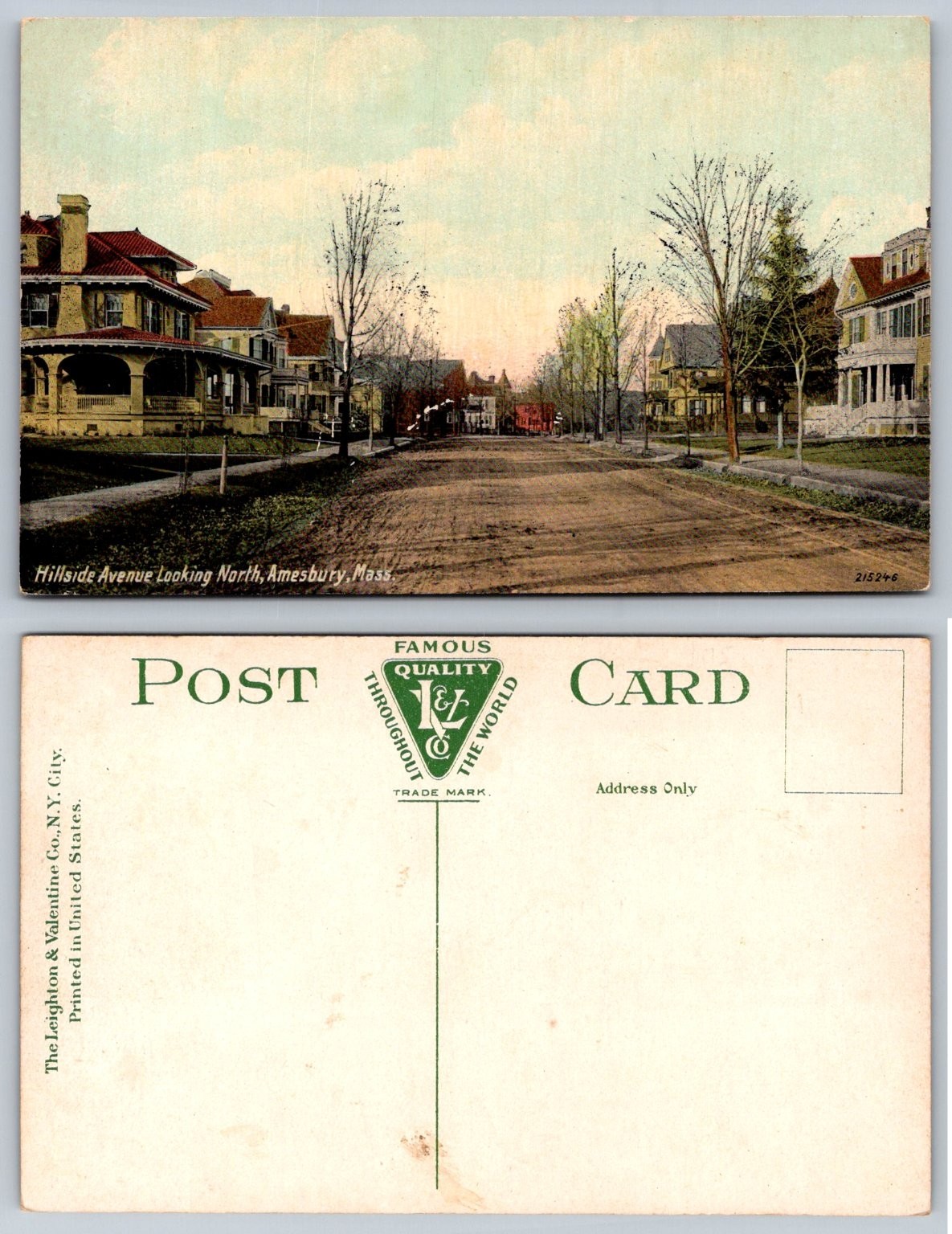 Amesbury MA Hillside Ave Street View Leighton & Valentine Postcard c1910s