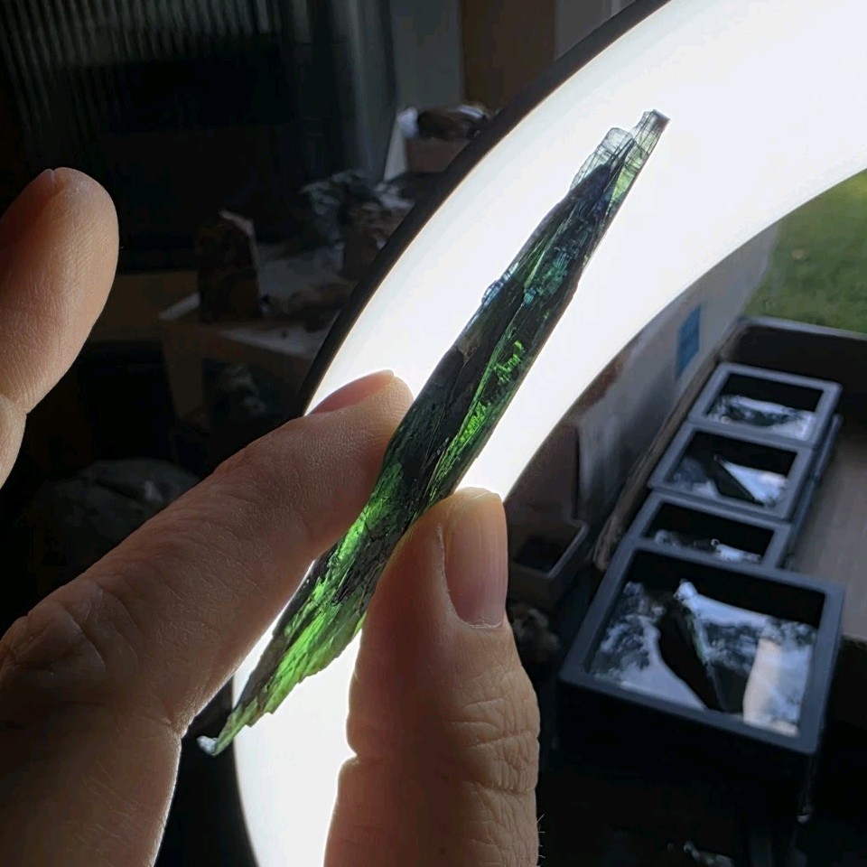 Vivianite #52 in Floating Case 4