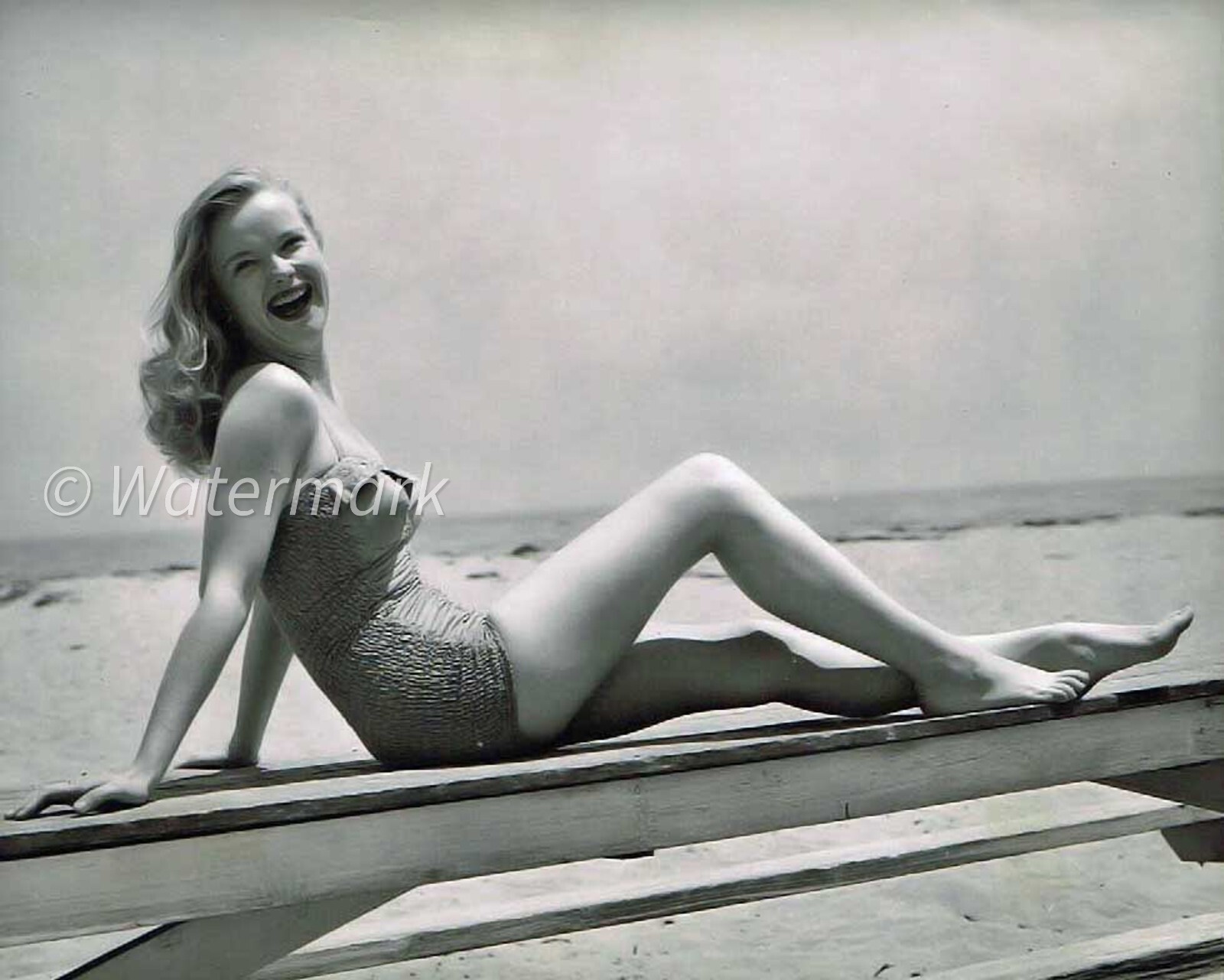 Anne Francis - celebrities - American Broadway actress - 8x10 PUBLICITY PHOTO