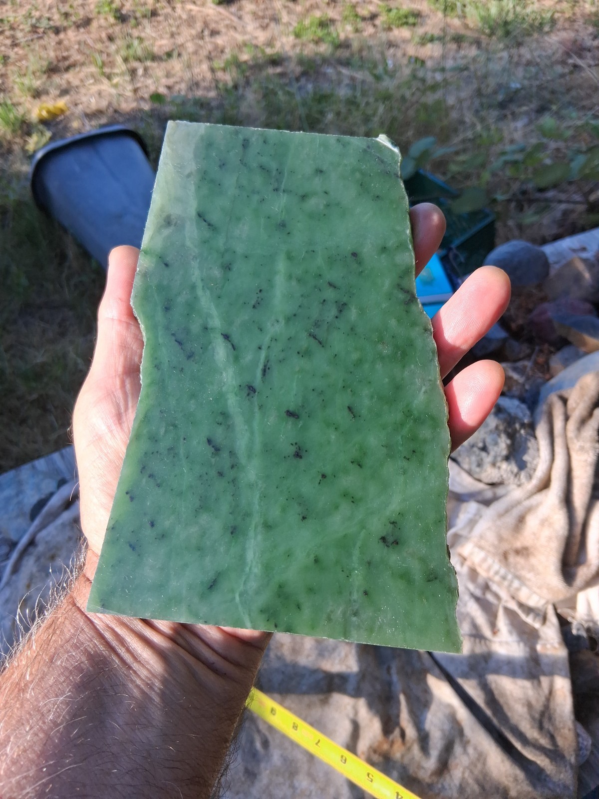 Siberian Green Jade Cabbing Slab 1 Pound 2oz Uniform Thickness