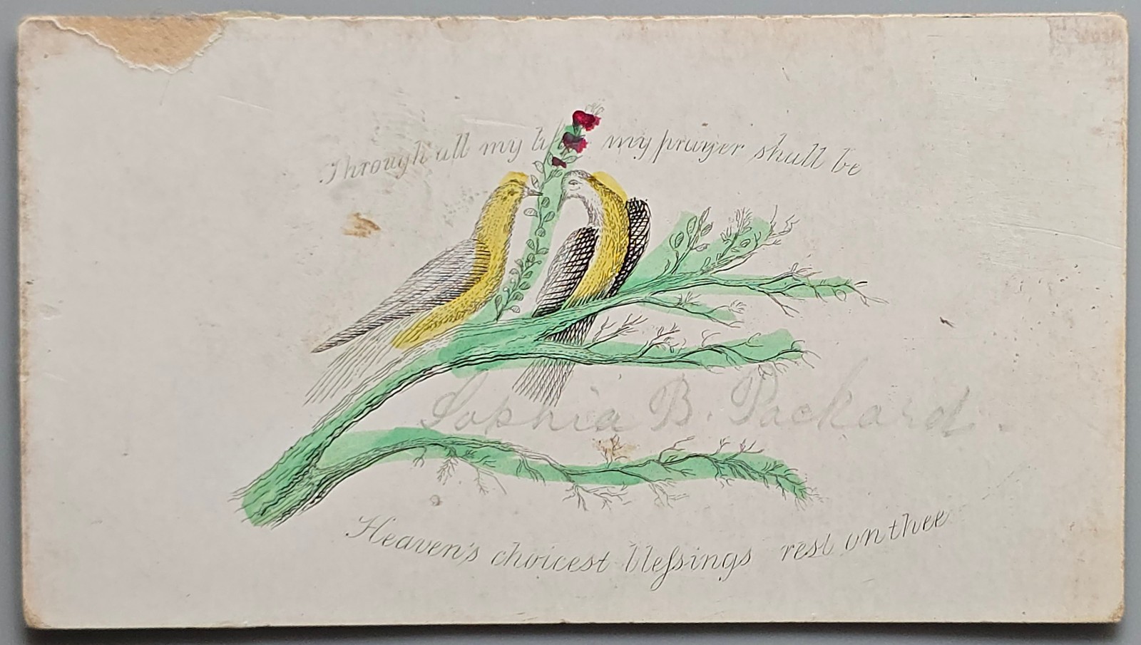 Antique Victorian Calling Card Bird Floral Art Lucine B Packard Hand Colored