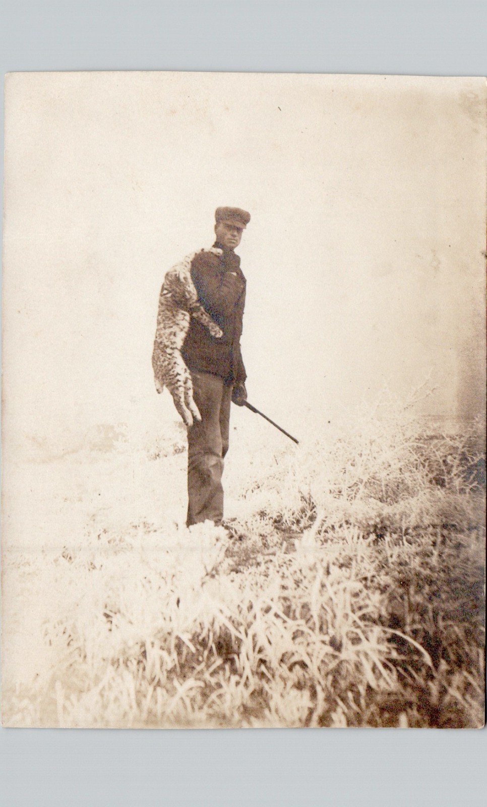 HUNTER CARRIES DEAD BOBCAT c1920 postcard (trimmed) real photo rppc rare