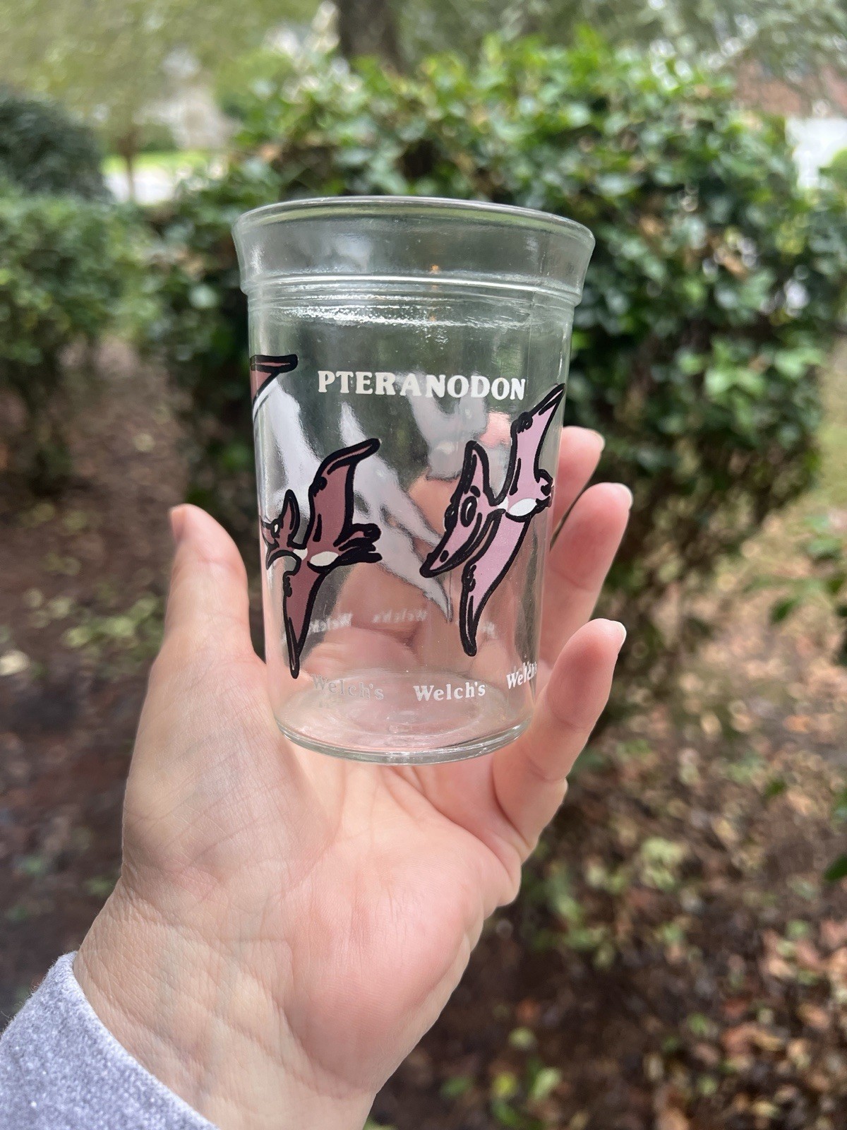 Vintage 1980’s Welch Pteranodon Jelly Jar Drinking Glass by Anchor Hocking