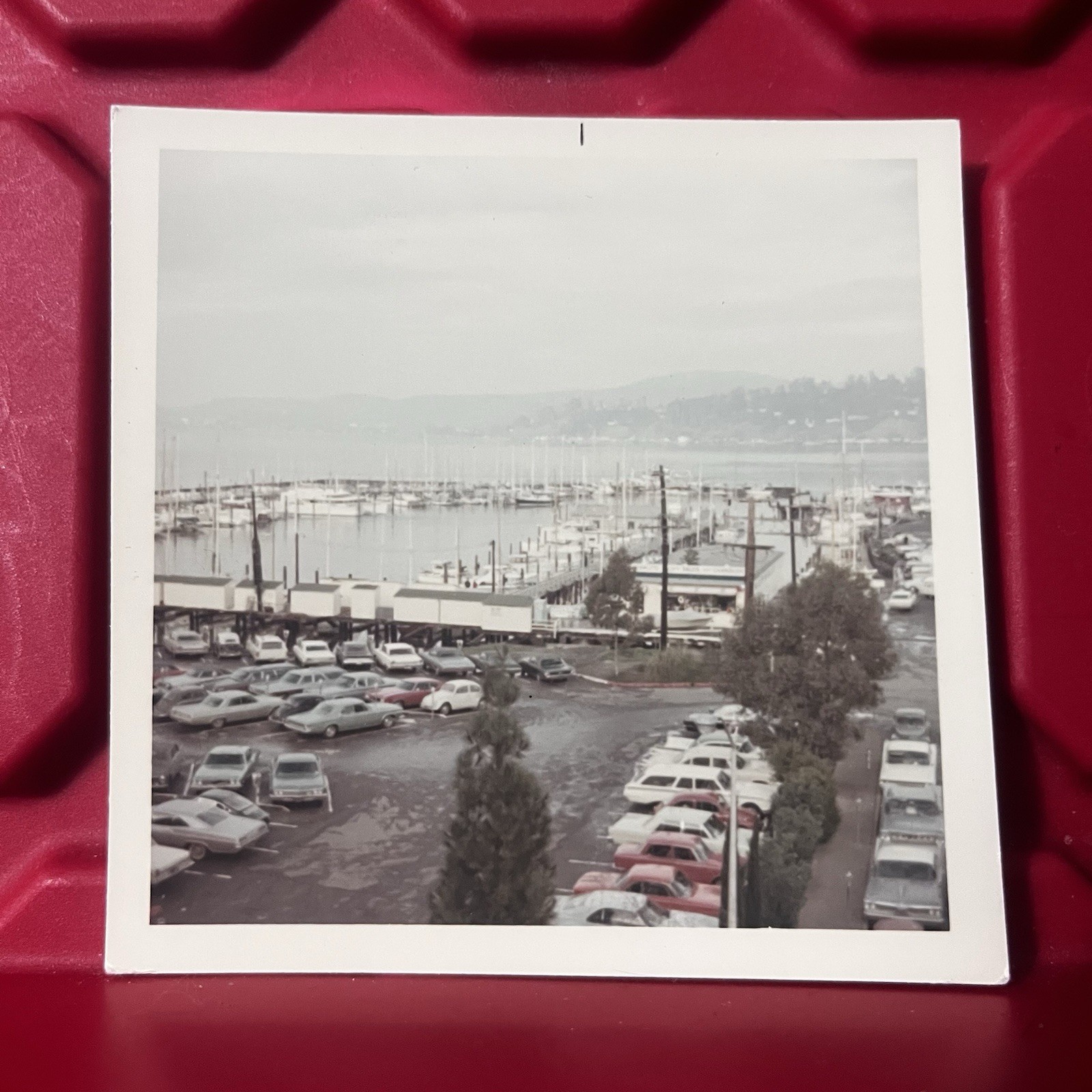 Yacht Harbor Sausalito California 3 1/2 x 3 1/2 Photograph Vintage 1960s
