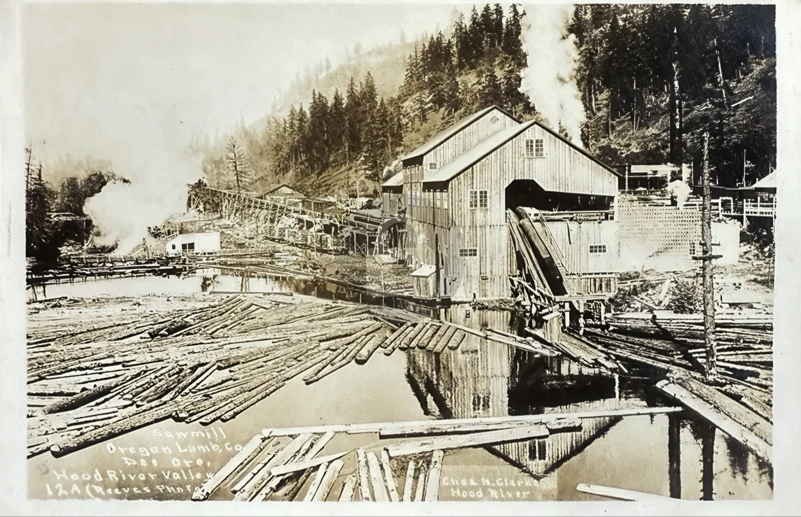 DEE Oregon Lumber Company Sawmill Hood River Valley RPPC Photo Postcard COPY