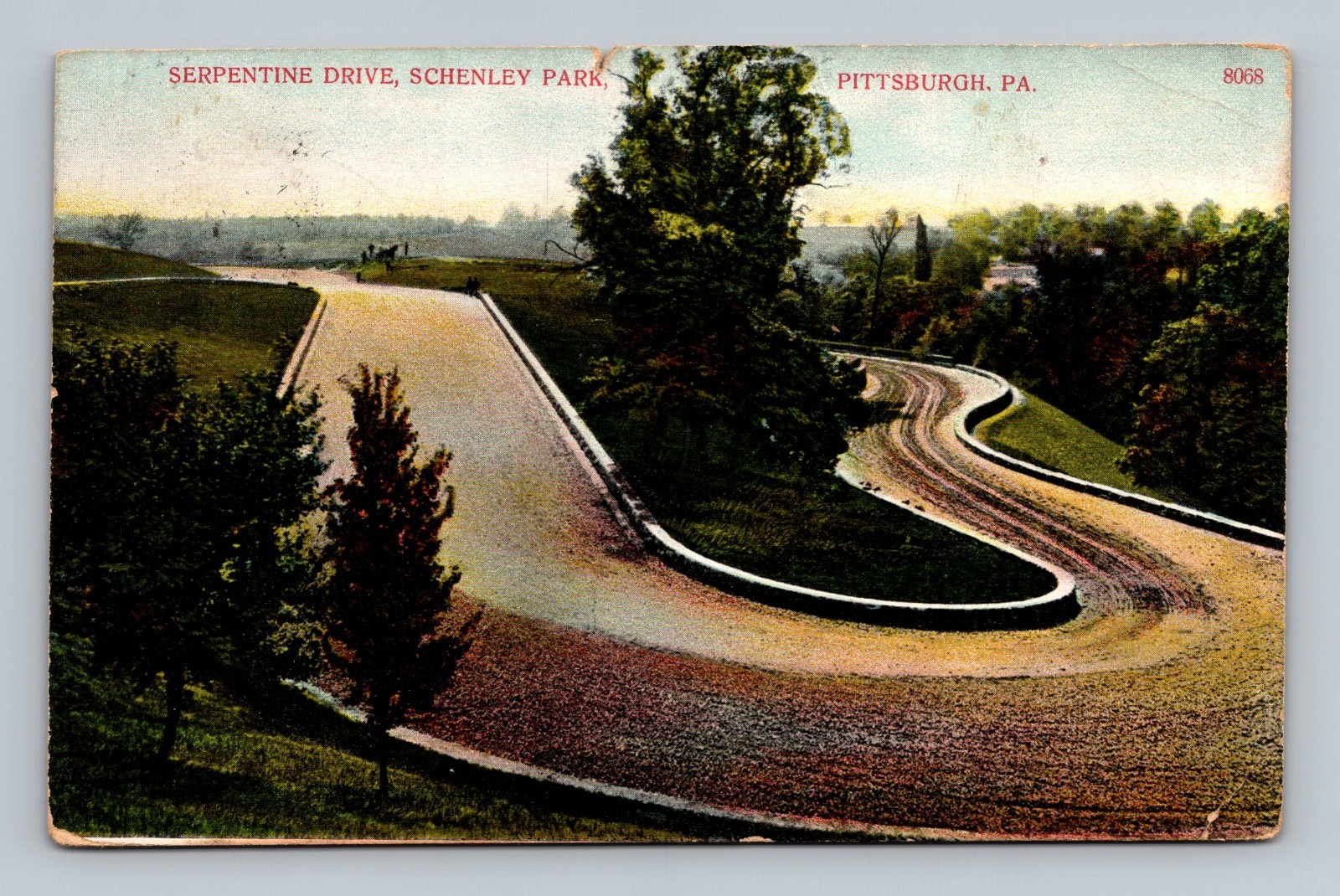 Postcard PA Pittsburgh Pennsylvania Serpentine Drive Schenley Park