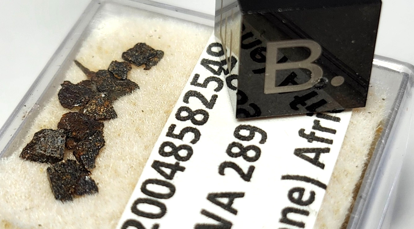 NWA 289 Meteorite Fragments Provisional TKW 450 Grams