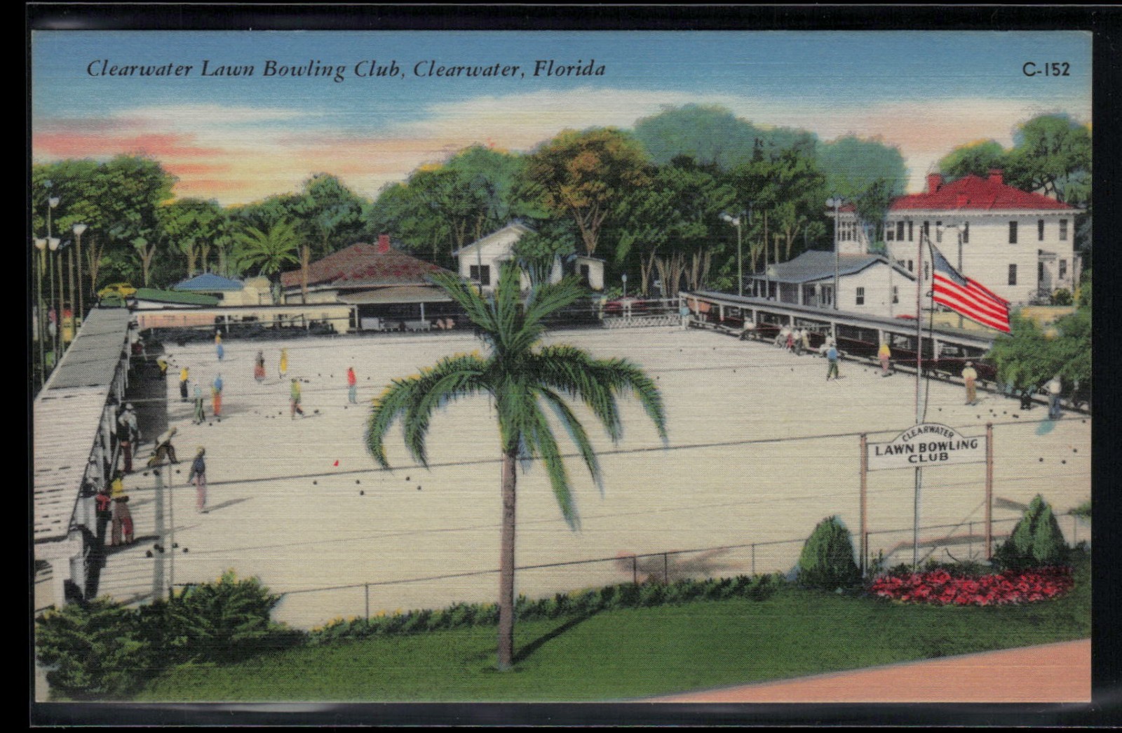 Vintage FLORIDA Postcard - Clearwater Lawn Bowling Club c1940s Palm Trees