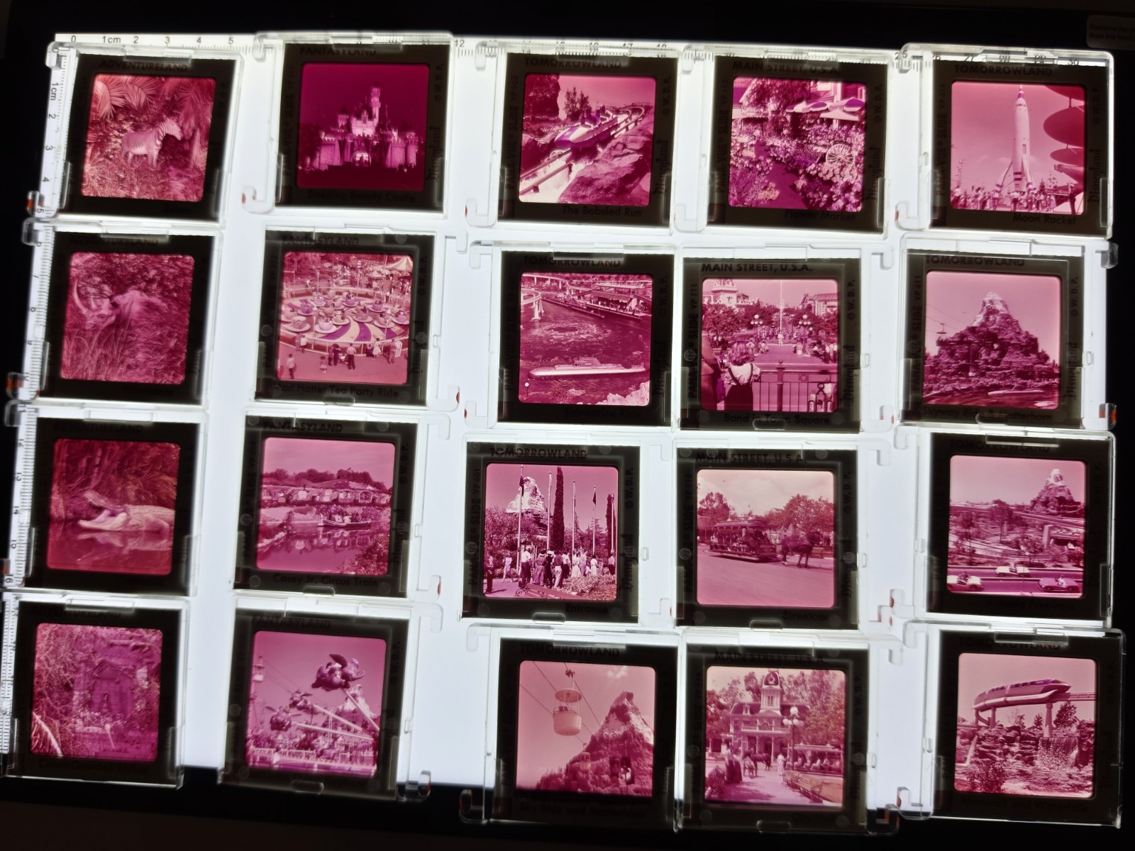 Vintage 1960s Disneyland Souvenir Slides Lot 20 Pana-Vue WDP Extinct Rides Pink