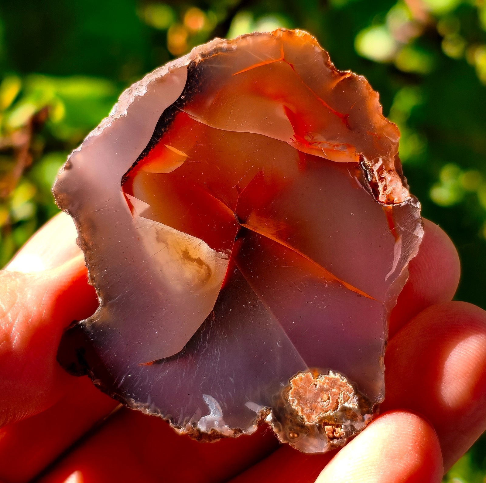Mirror Polished Extremely Rare Turkish Red Fox Agate Uv Fluorescent