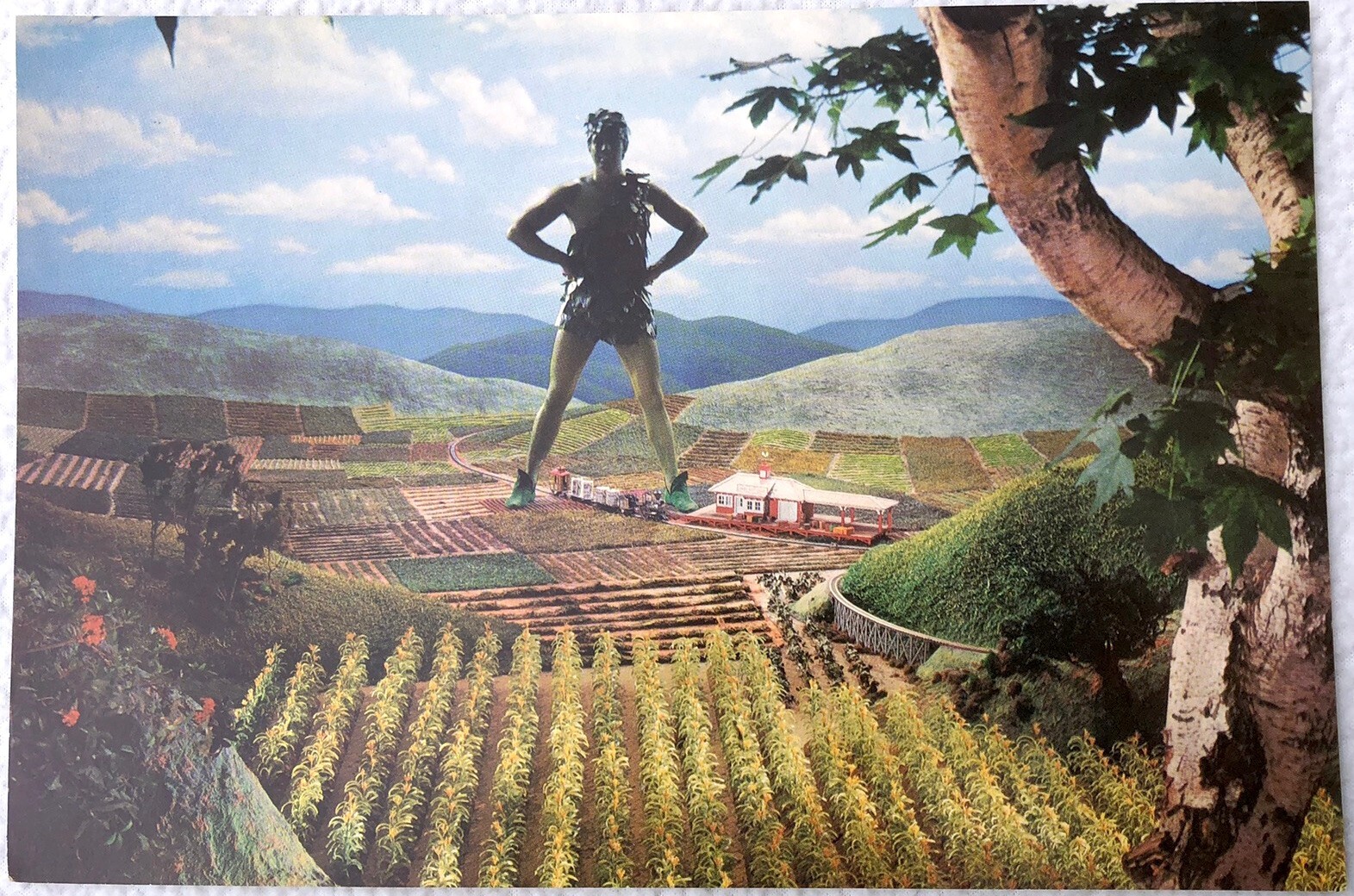 Original 1963 Jolly Green Giant Large Postcard - Tour Memorabilia - RARE