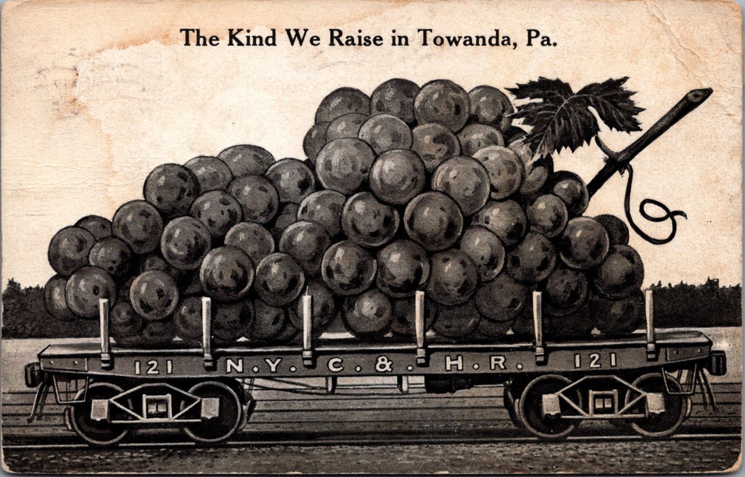 Towanda PA Giant Grapes Train Car N.Y.C. & H.R. Art Mfg Co. Postcard 1910s