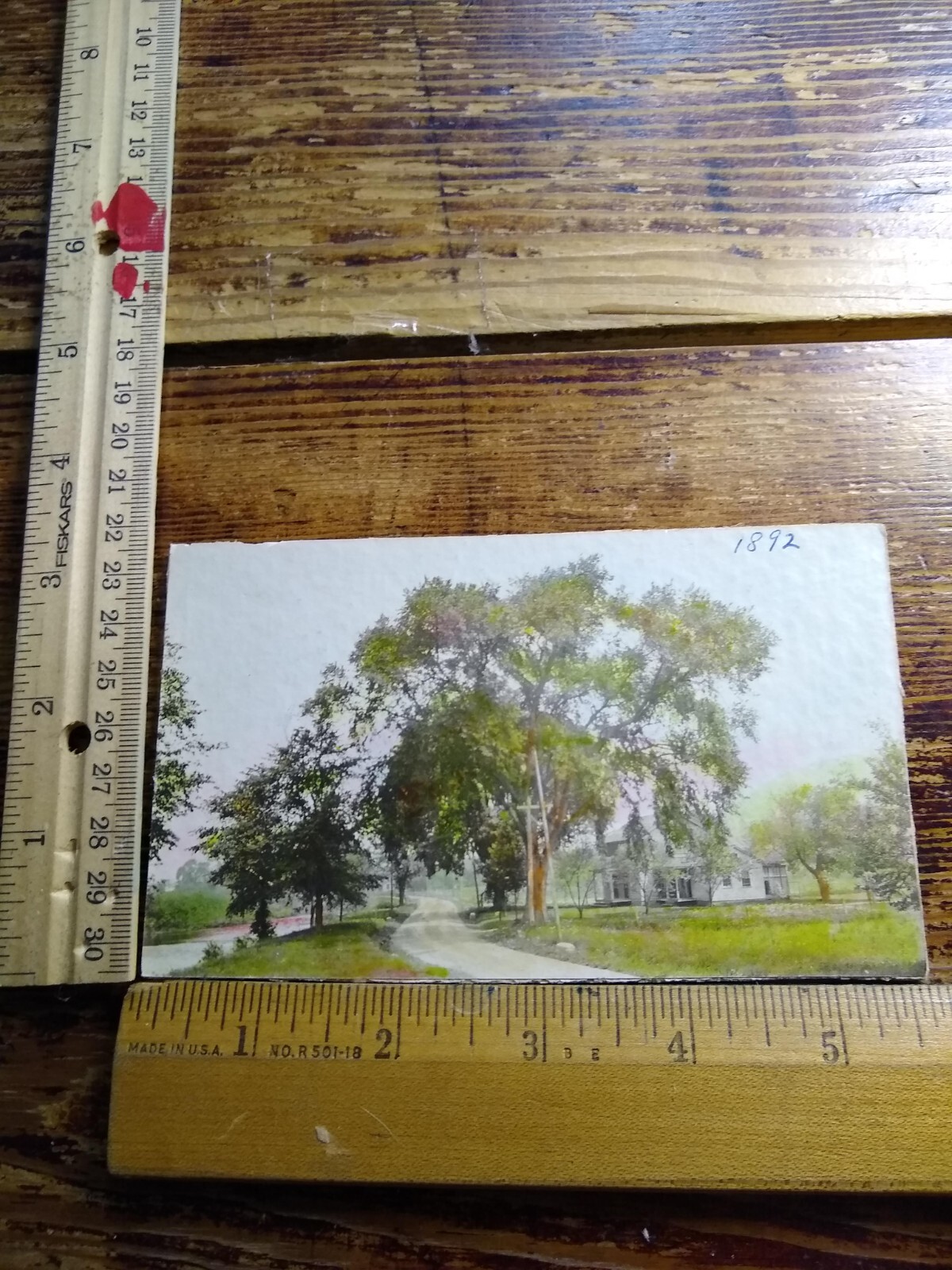 Postcard - Rural Scene - Trees - House - River - Path/Road