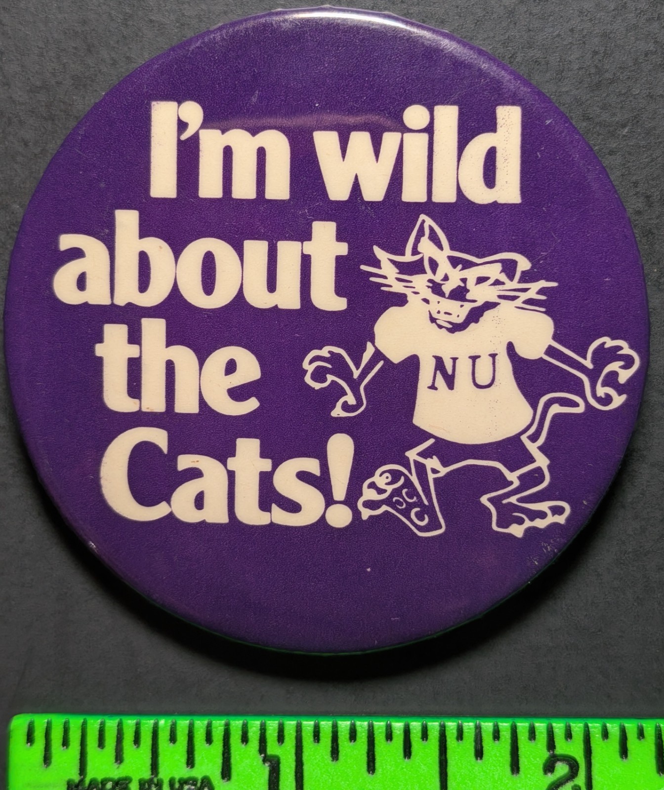 Vintage Northwestern University College Pinback Pin