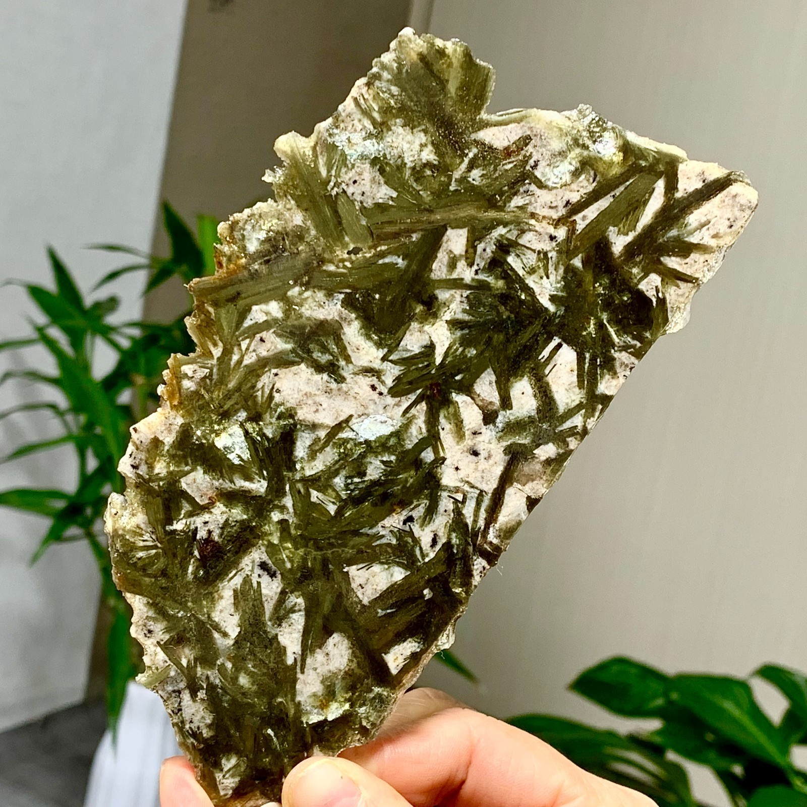 94G Natural green tourmaline quartz crystal slice mineral slab sample healing