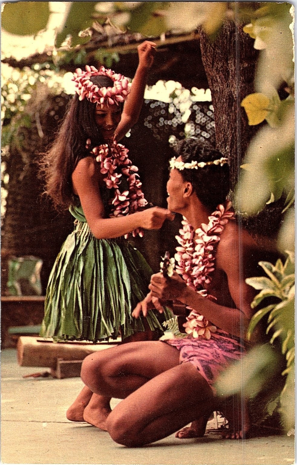 Hawaiian Hula Dance Wahine Grass Skirt Plumeria Ukulele Postcard